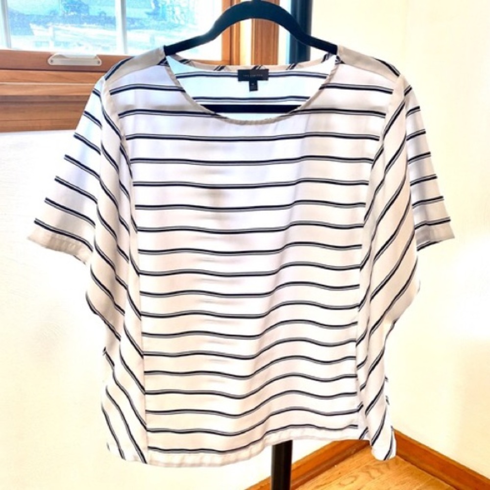 The Limited Striped Dress Shirt